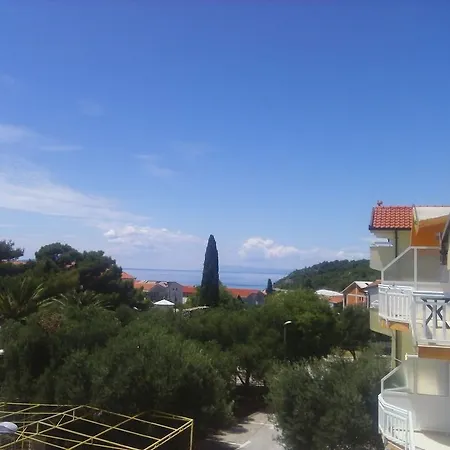 Ivva Podaca