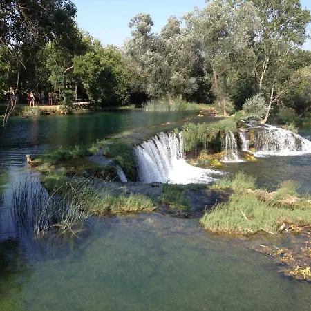 Ivva Podaca