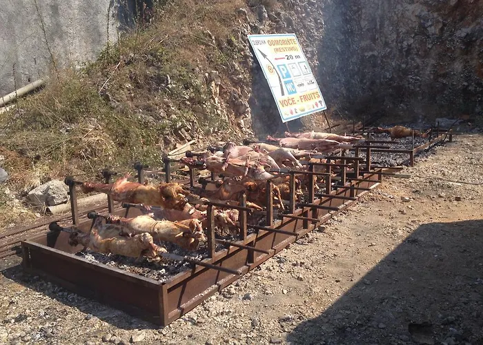Ivva Podaca